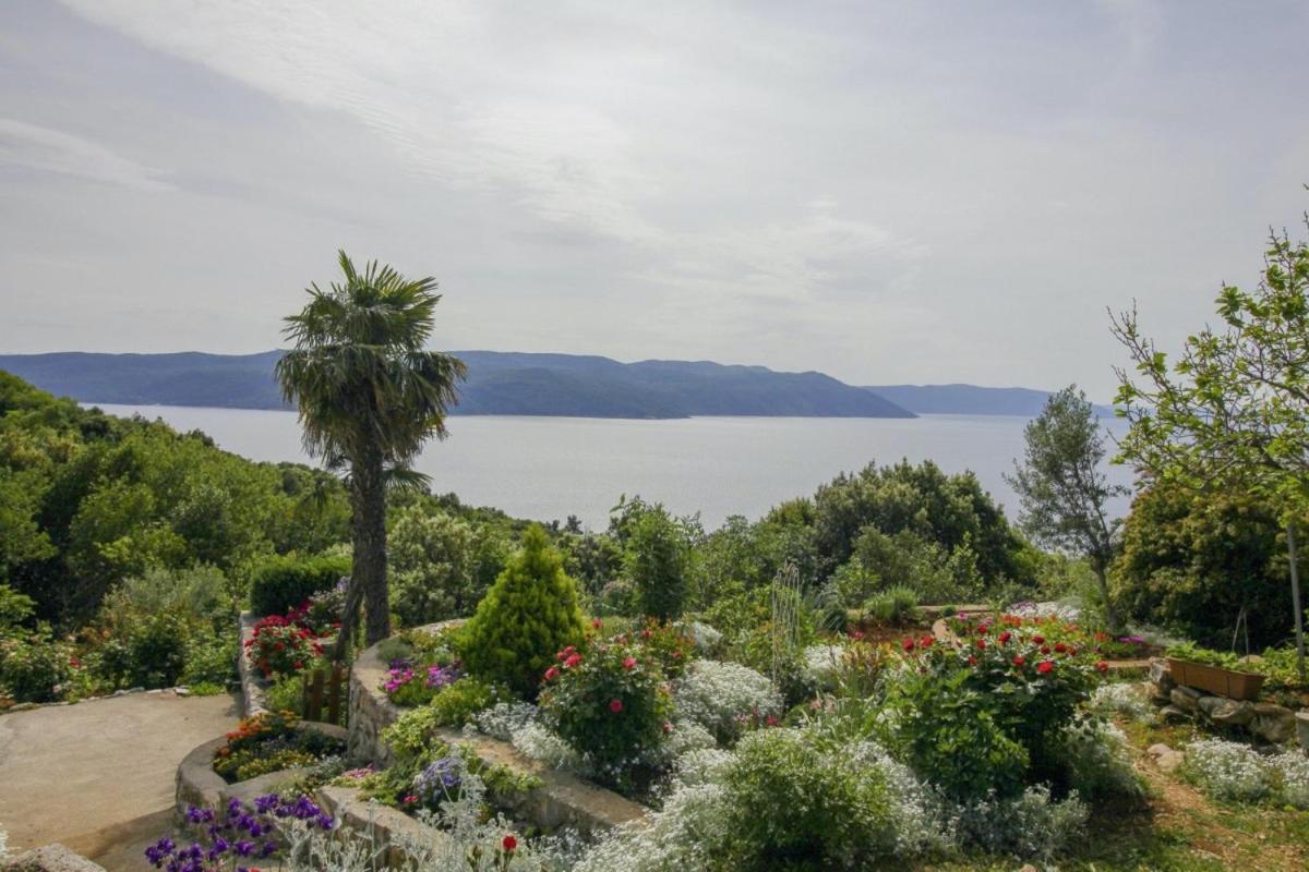 Villa Paradiso In Plomin - Istrien Exterior foto