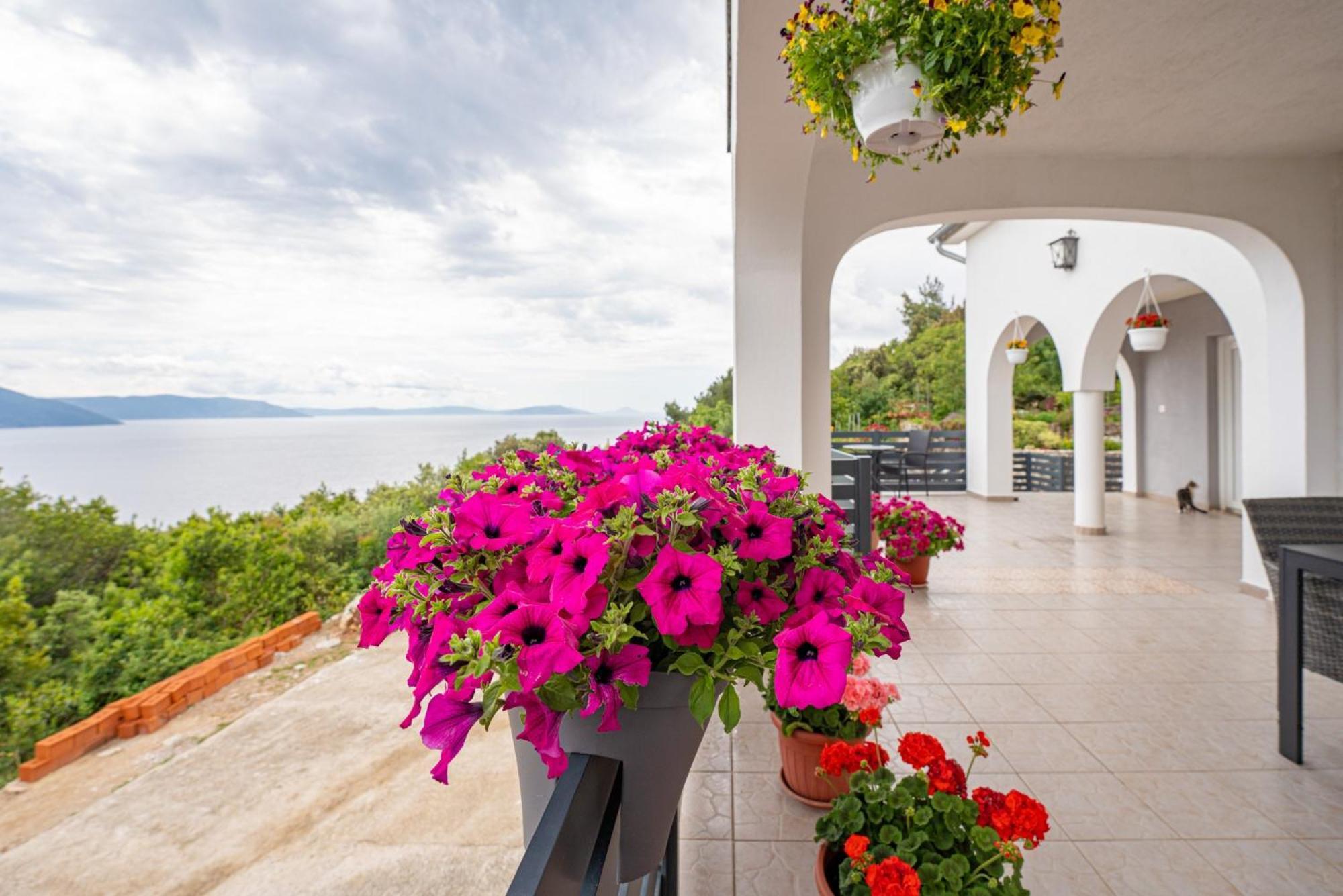 Villa Paradiso In Plomin - Istrien Exterior foto