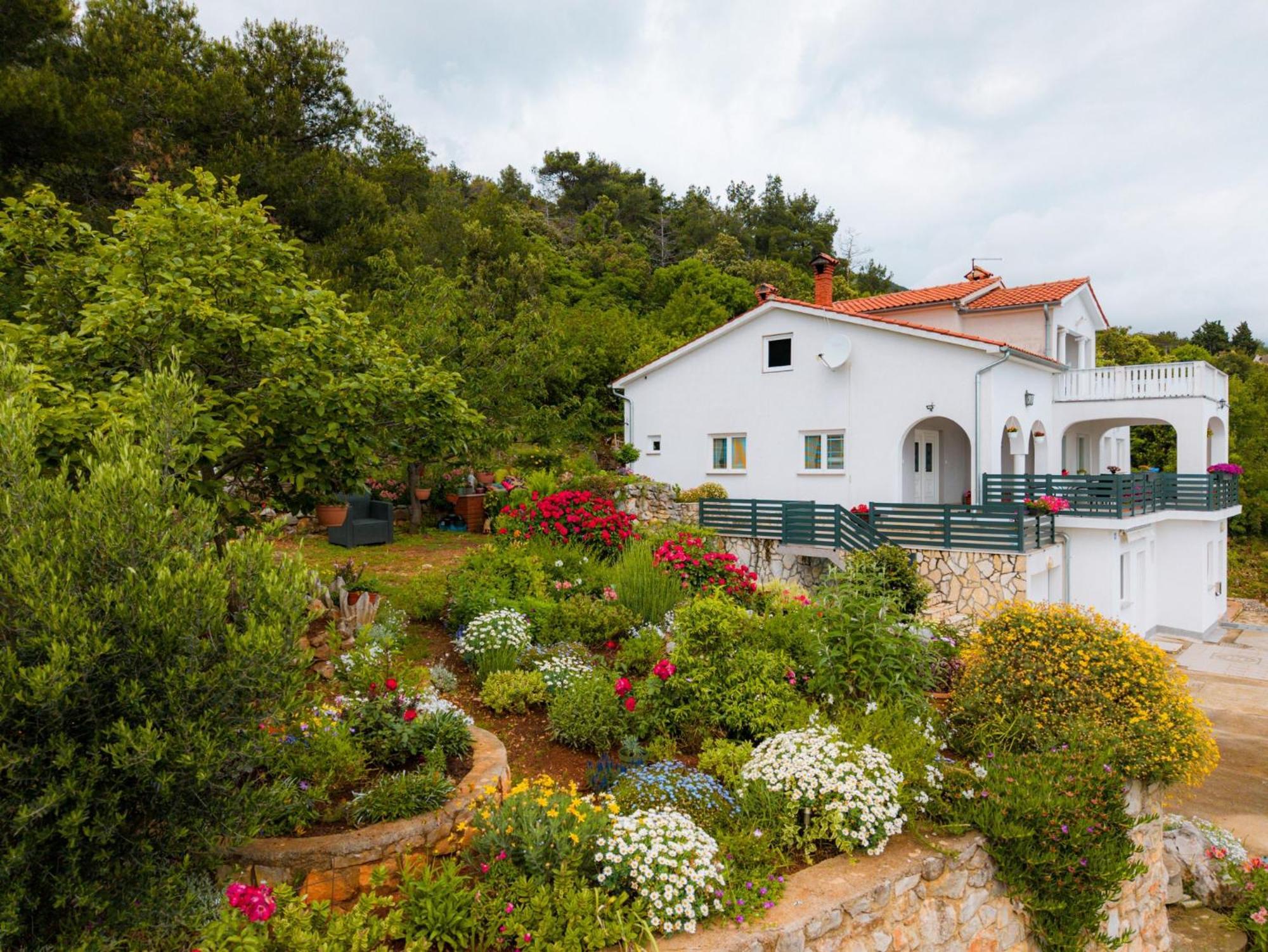 Villa Paradiso In Plomin - Istrien Exterior foto
